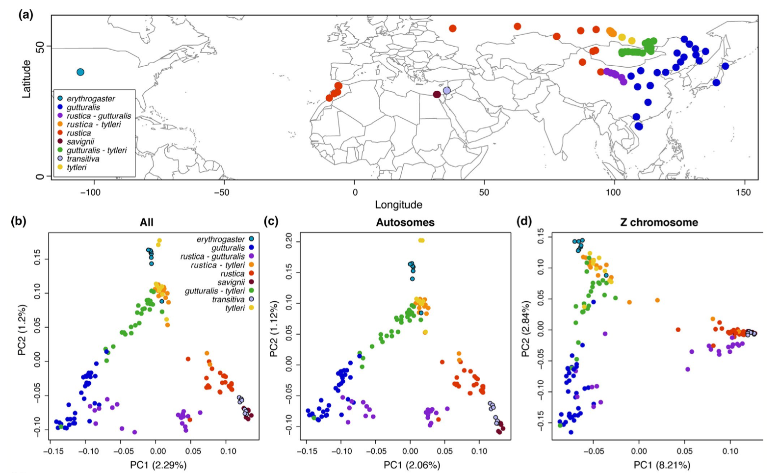 Sex‐linked Genetic Diversity And Differentiation In A Globally Distributed Avian Species Complex 4562