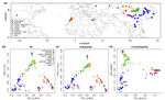 Sex‐linked genetic diversity and differentiation in a globally distributed avian species complex